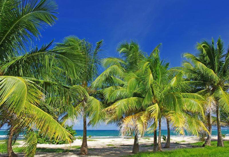 Villa Le Bord Bleu Le Moule Luaran gambar